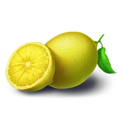 Coin Win 2 Limette Symbol