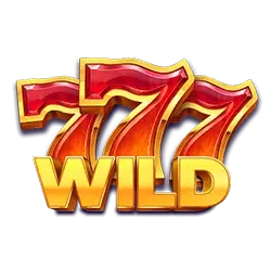 Coin Win 2 Wild Symbol